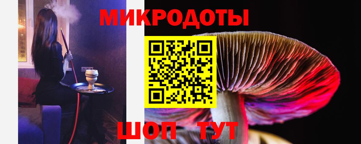 Свободный  Псилоцибиновые грибы Magic Shrooms  Вход с VPN  Псилоцибиновые грибы Psilocybe 